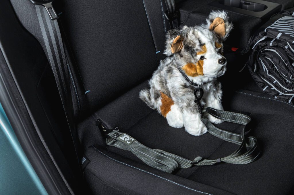 Dacia Striker Journey hybrid 155 Frost-Grün (35)