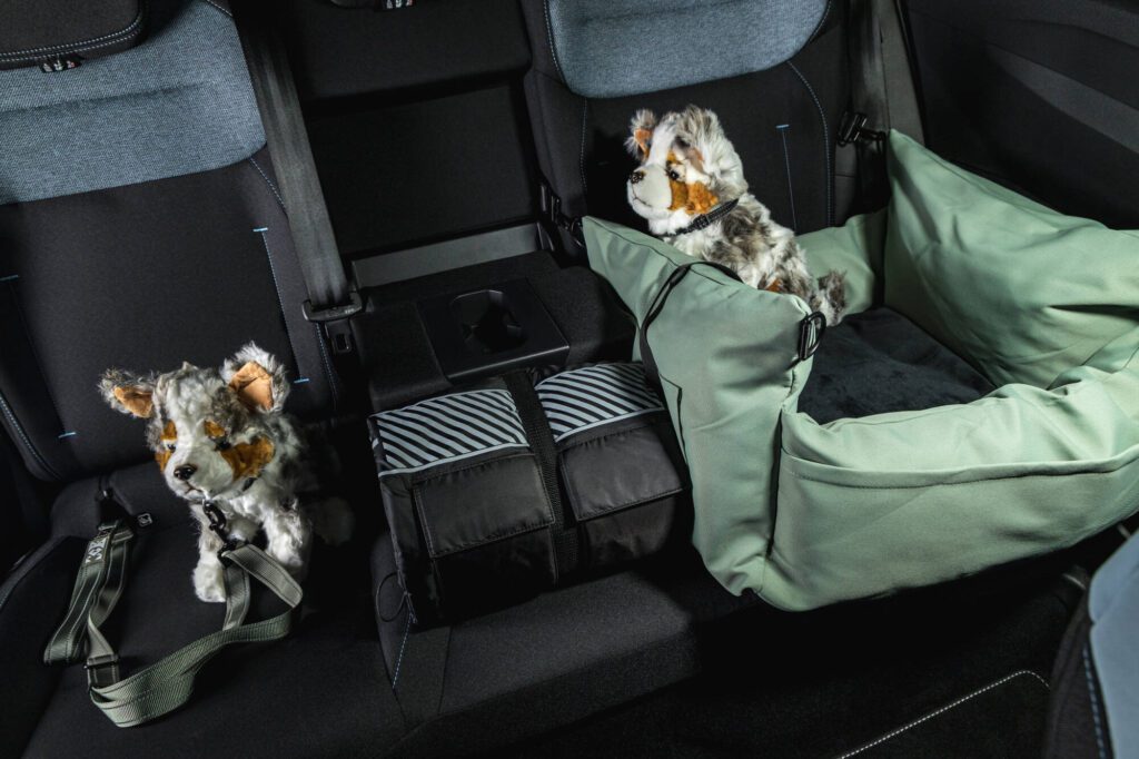 Dacia Striker Journey hybrid 155 Frost-Grün (36)